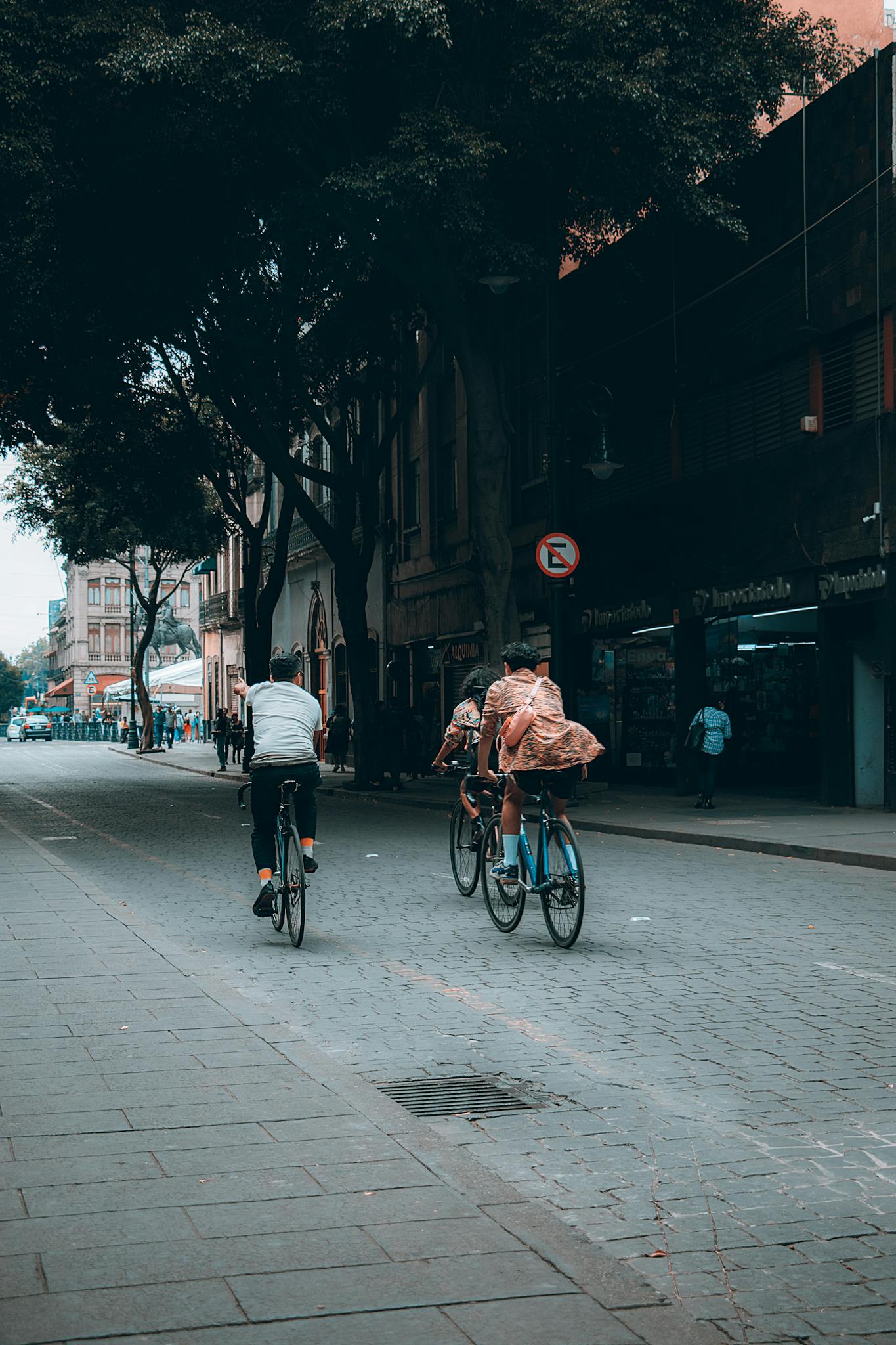 A group of cyclists riding down a tree-lined city street during the day.